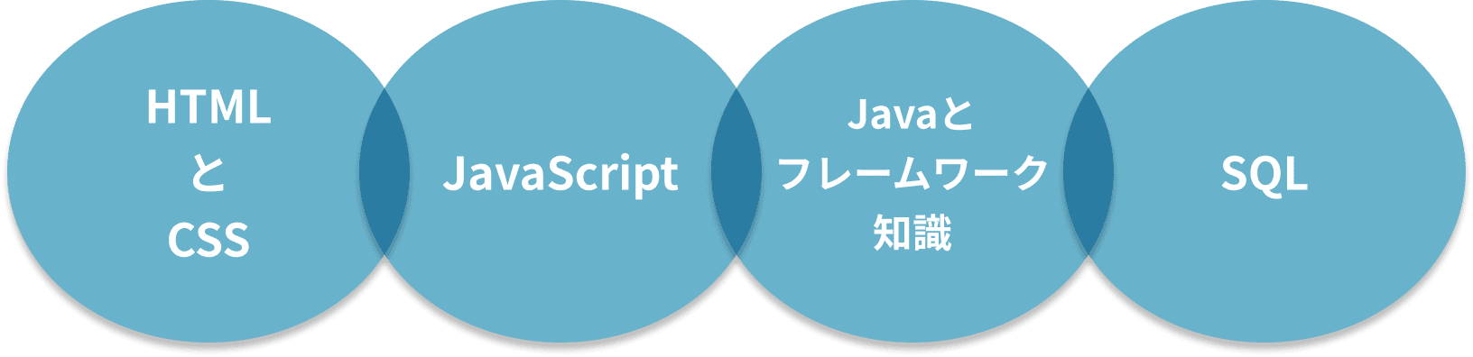 HTMLとCSS JavaScript Javaとフレームワーク知識 SQL